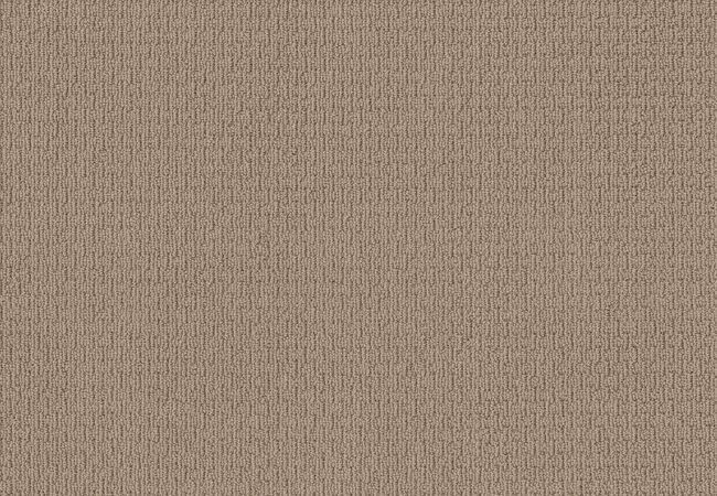 Anderson Tuftex Casual Life Baked Beige