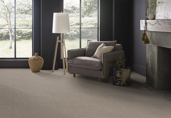 Anderson Tuftex Delight Chic Taupe view 2