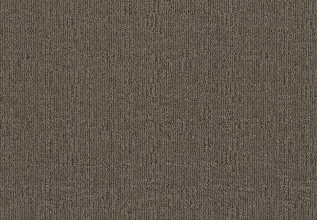 Anderson Tuftex Diego Apparition