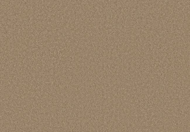 Anderson Tuftex Elegant Beauty Biscotti