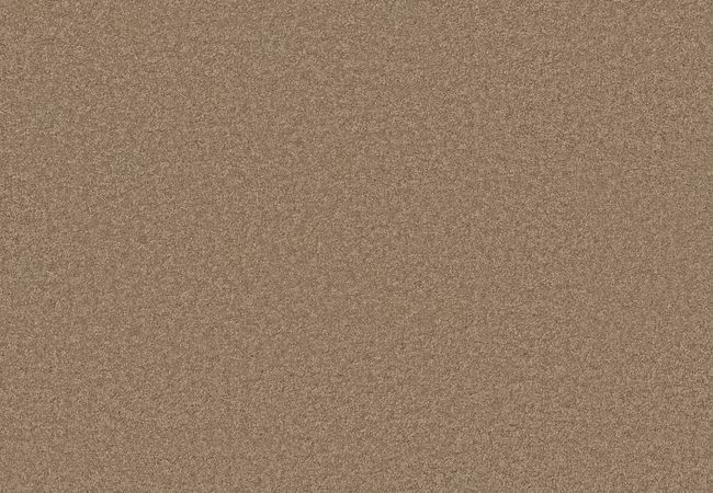 Anderson Tuftex Elegant Beauty Latte