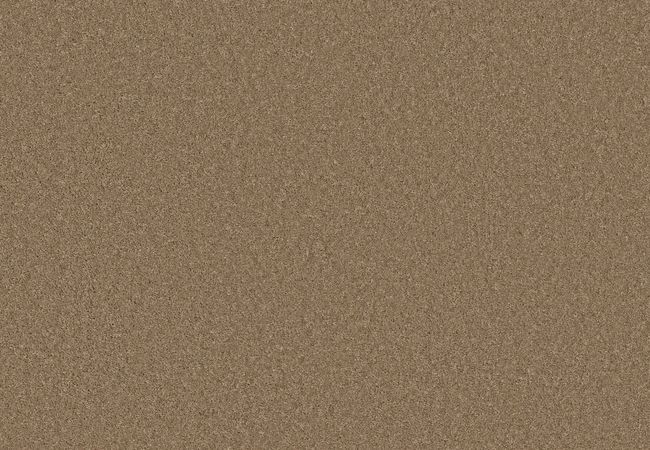 Anderson Tuftex Enchanting Latte