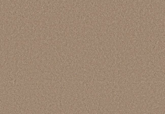 Anderson Tuftex Enchanting Warm Sand — Anderson Tuftex