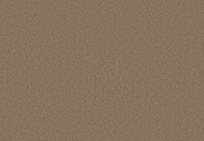 Anderson Tuftex Enduring Charm Latte