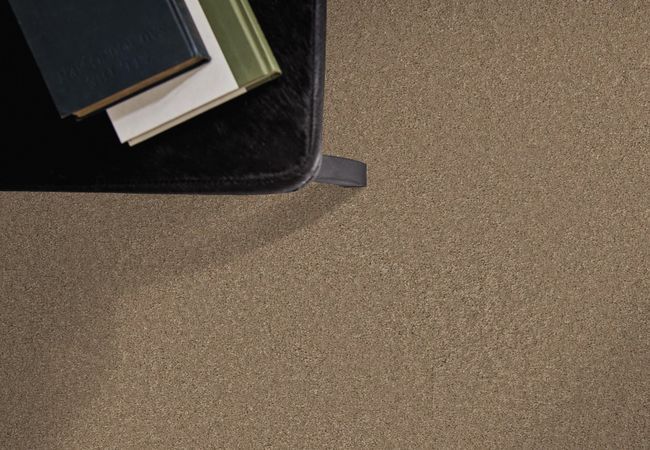 Anderson Tuftex Enduring Charm Latte view 2