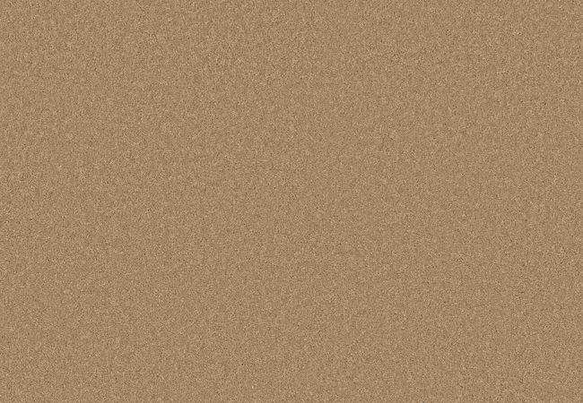 Anderson Tuftex Enduring Charm Winter Wheat