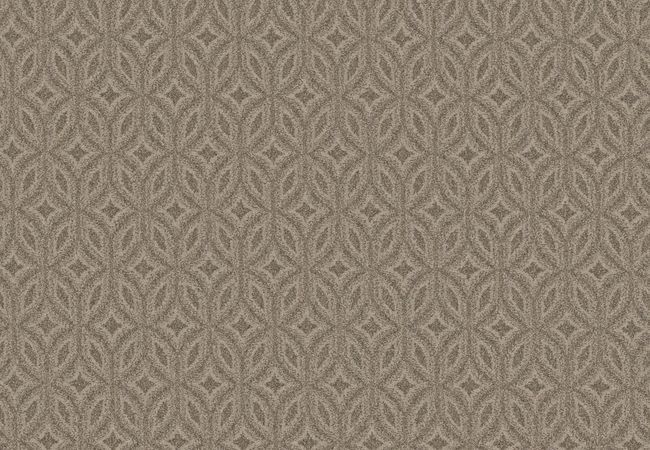 Anderson Tuftex Enlightened Toasty Gray