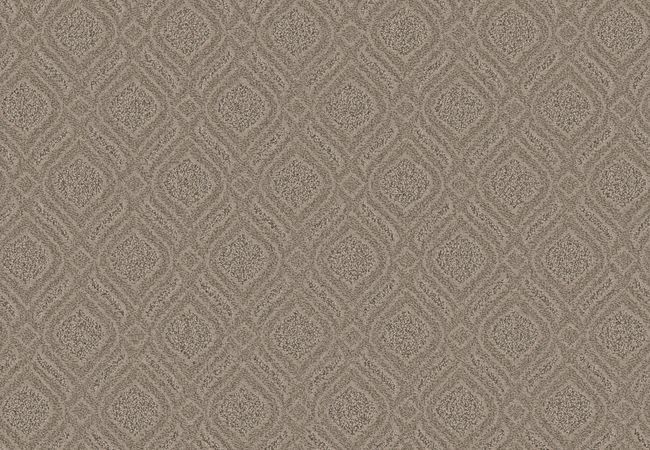 Anderson Tuftex Expressive Toasty Gray