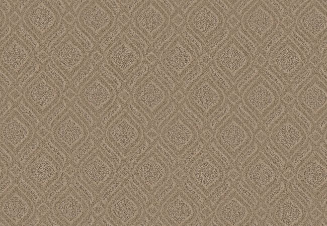 Anderson Tuftex Expressive Windswept