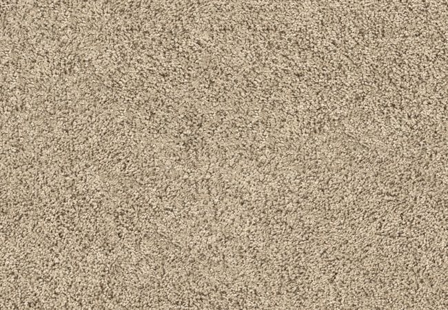 Anderson Tuftex Fan Favorite Antique Lace