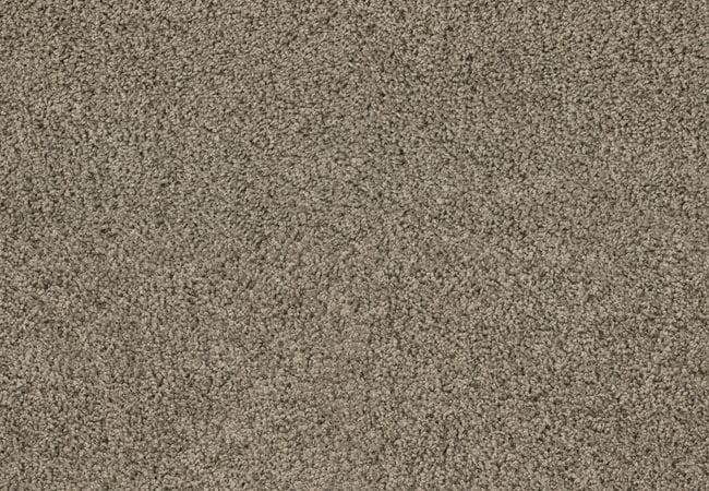 Anderson Tuftex Fan Favorite Gentle Brown