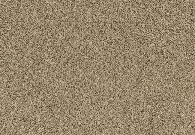 Anderson Tuftex Fan Favorite Lenox Tan