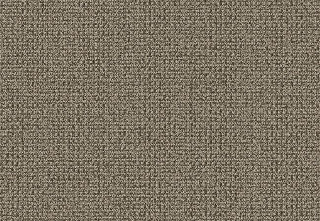 Anderson Tuftex Fetch Desert Palm