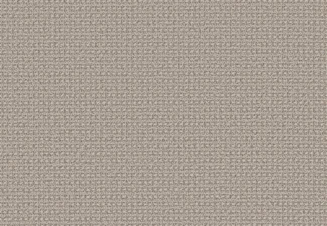 Anderson Tuftex Fetch Oyster Shell