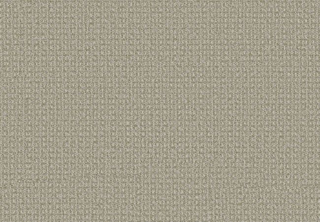 Anderson Tuftex Fetch Soft Fern