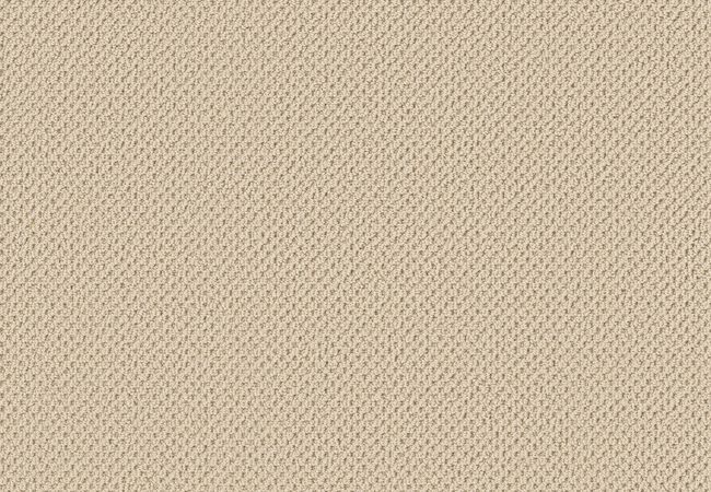 Anderson Tuftex Gracious Creamy