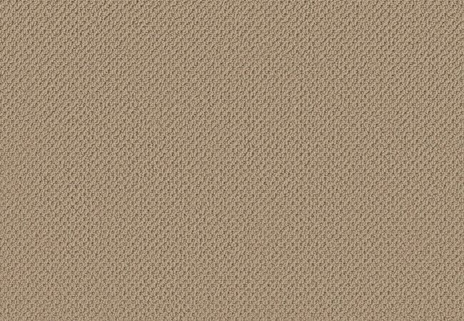 Anderson Tuftex Gracious Safari