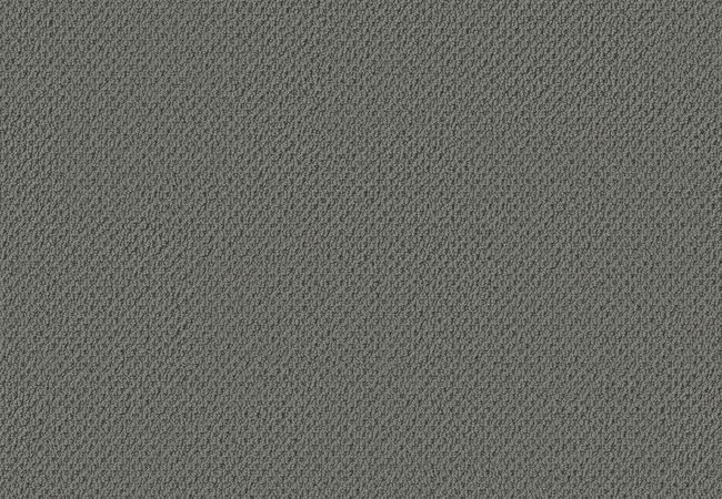 Anderson Tuftex Gracious Smoky Gray