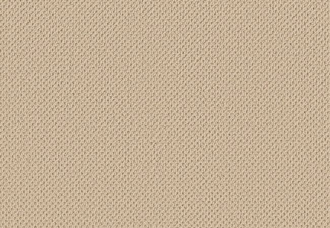 Anderson Tuftex Gracious Treasure