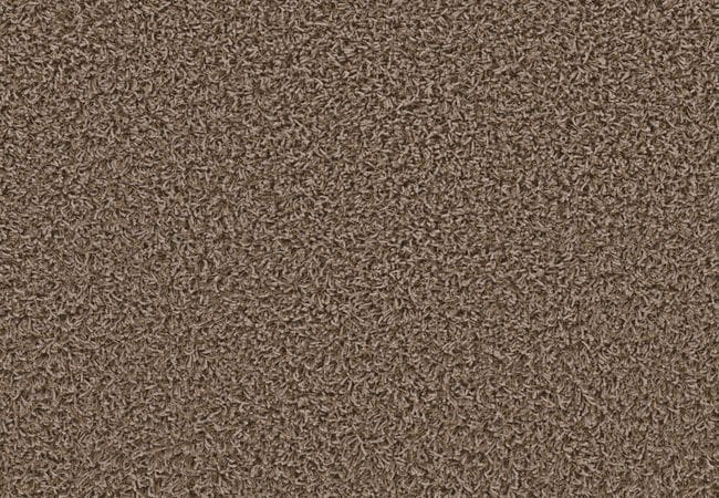 Anderson Tuftex Hello Beautiful Greige