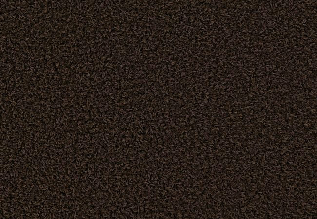 Anderson Tuftex Hello Beautiful Sable