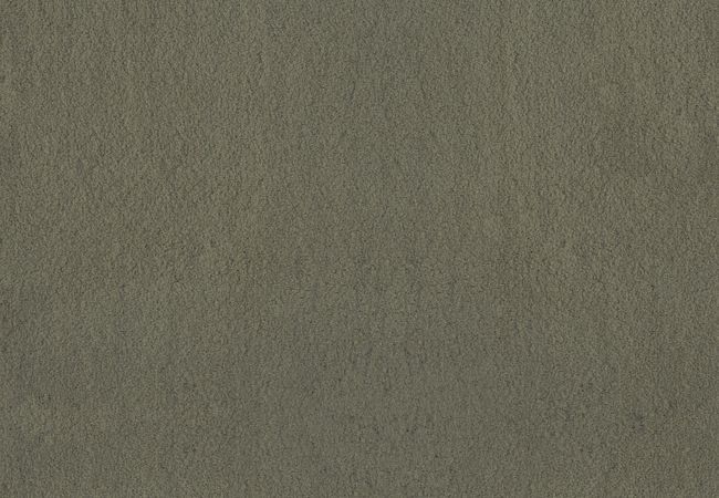 Anderson Tuftex Luxe Feel II Bonsai