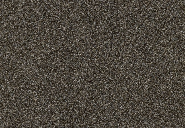 Anderson Tuftex Mollie's Turn Grizzly