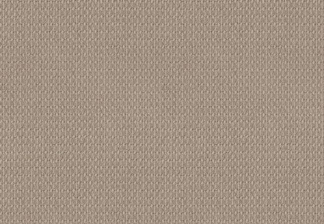 Anderson Tuftex Moondance Neutral Ground