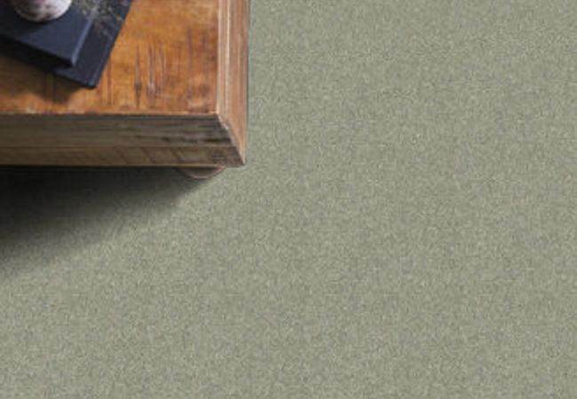 Anderson Tuftex Oliver's Twist Pacific Beach view 2