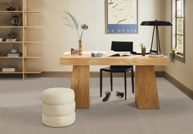 Anderson Tuftex Park Haven Smoky Suede view 2