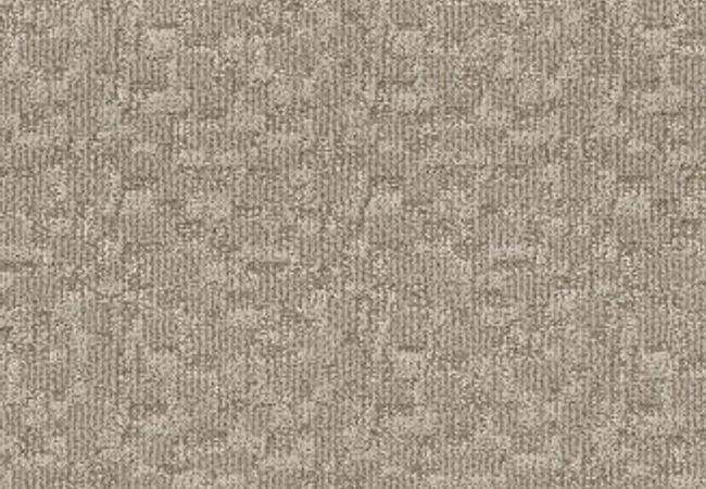 Anderson Tuftex Paw-tay Birch