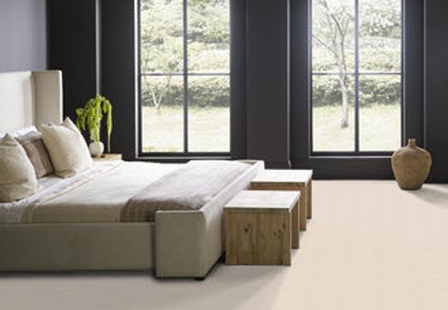 Anderson Tuftex Pawnache Barely Beige view 2