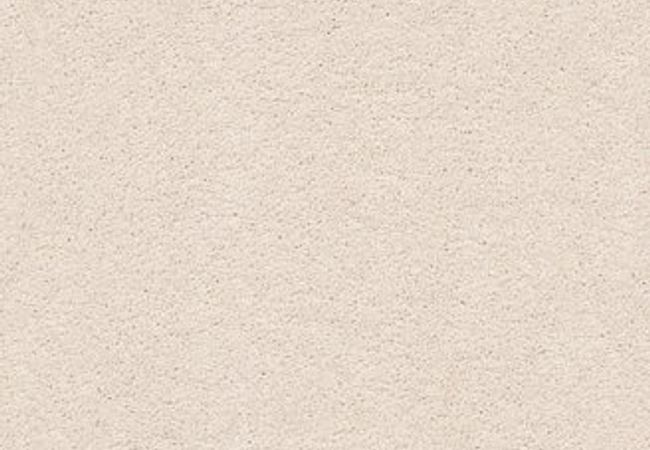 Anderson Tuftex Pawparazzi I Barely Beige