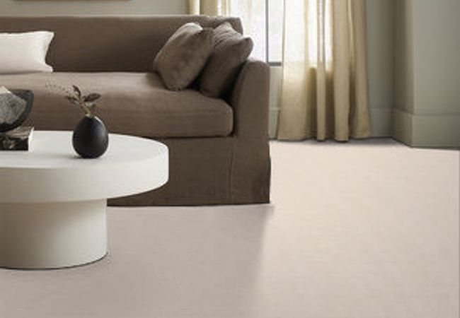 Anderson Tuftex Pawparazzi I Barely Beige view 2