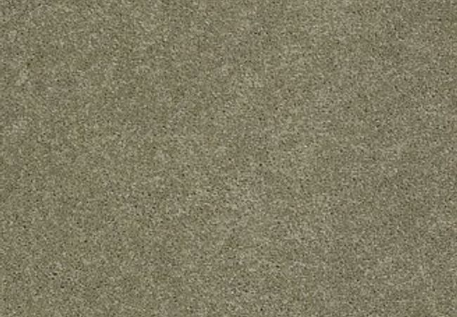 Anderson Tuftex Pawparazzi I Dry Sage