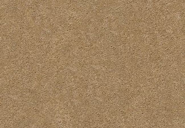 Anderson Tuftex Pawparazzi I Golden Straw