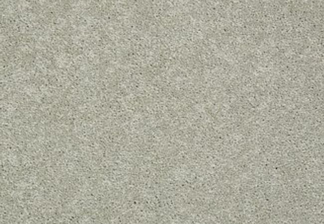 Anderson Tuftex Pawparazzi I Gray Mirage