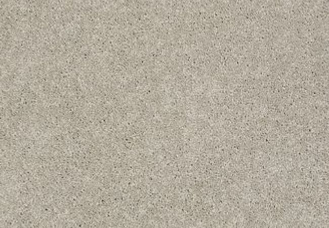 Anderson Tuftex Pawparazzi I Mocha Cream