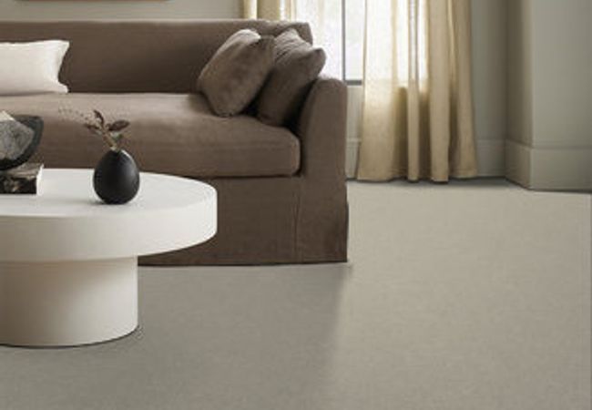 Anderson Tuftex Pawparazzi I Mocha Cream view 2