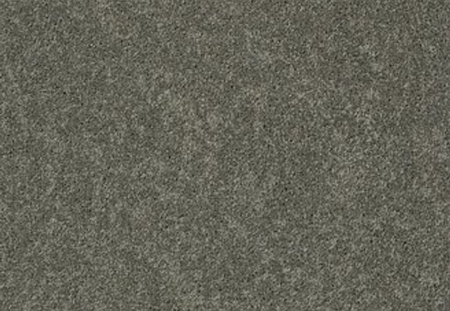 Anderson Tuftex Pawparazzi I Smoked Oyster