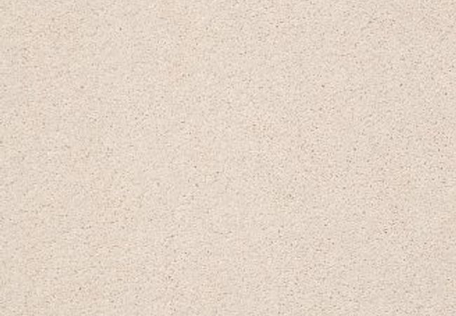 Anderson Tuftex Pawparazzi Ii Barely Beige