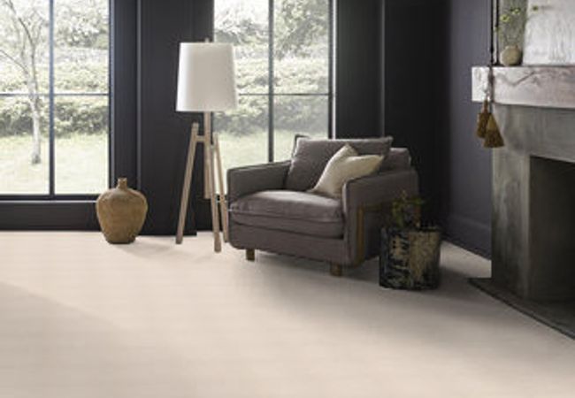 Pawparazzi II Anderson Tuftex