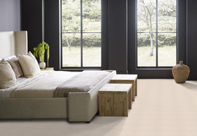 Anderson Tuftex Pawparazzi Ii Barely Beige view 3