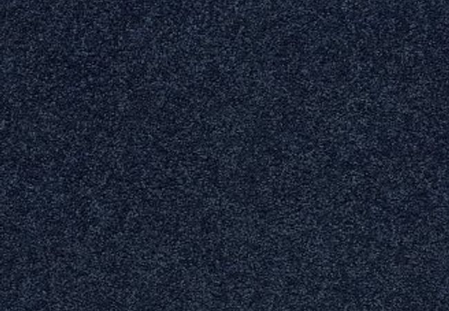 Anderson Tuftex Pawparazzi Ii Downpour