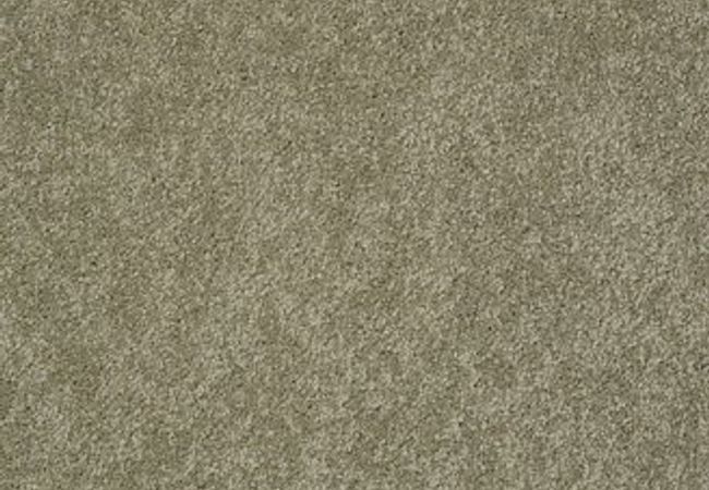 Anderson Tuftex Pawparazzi Ii Dry Sage