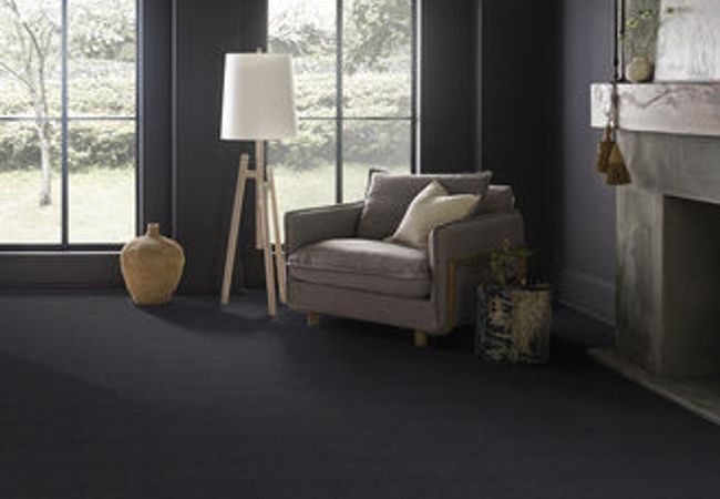 Anderson Tuftex Pawparazzi Ii Night Shade view 2