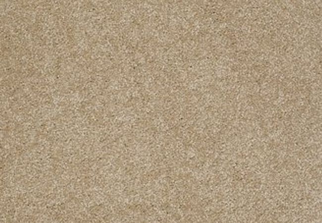 Anderson Tuftex Pawparazzi Ii Peanut Shell