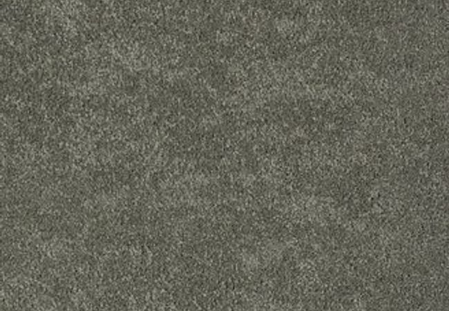 Anderson Tuftex Pawparazzi Ii Smoked Oyster