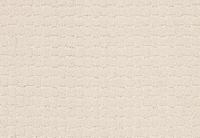 Anderson Tuftex Pawstruck Barely Beige