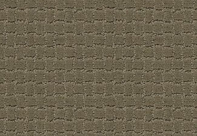 Anderson Tuftex Pawstruck Dry Sage